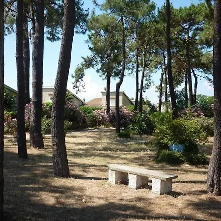 Mini T3 Duplex Borgo (Corsica)